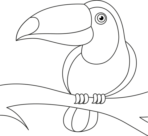 Cartoon Toucan Coloring Page